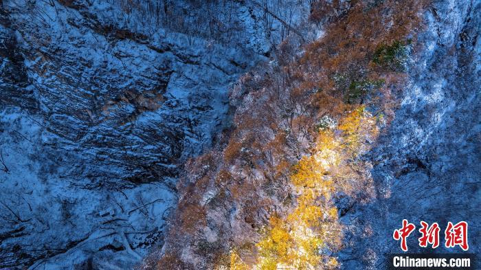 陜西：秦嶺薄雪未消金色晨光“綴”崖間