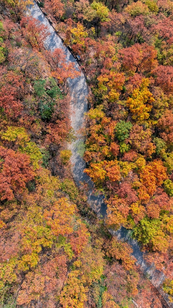 “瞰見(jiàn)秦嶺 詩(shī)畫(huà)終南”媒體景區(qū)行活動(dòng) 邂逅南五臺(tái)秋韻